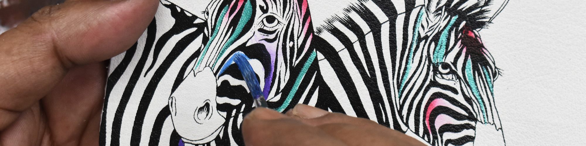 Midnight Zebra
