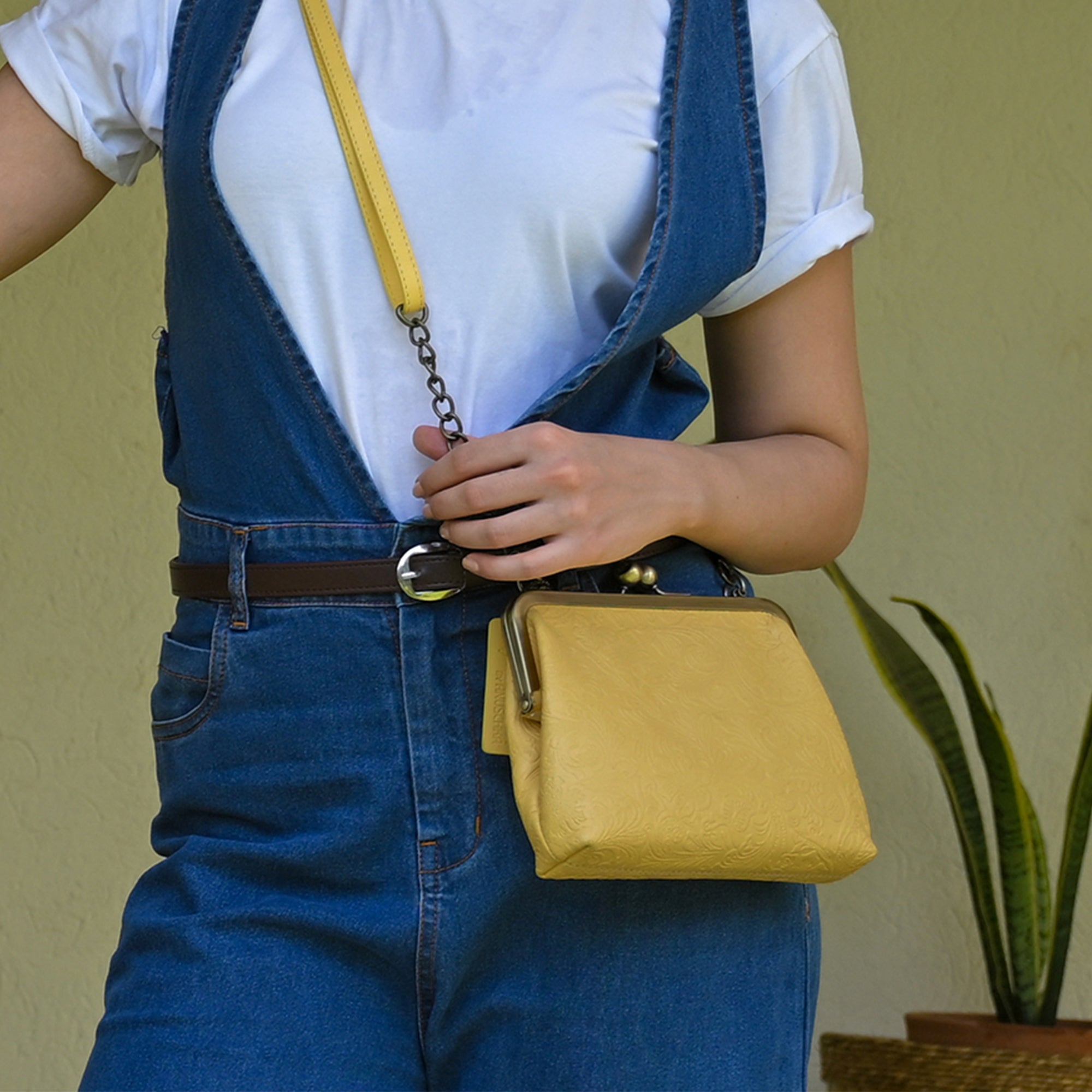 Crossbody Frame Bag - 8594